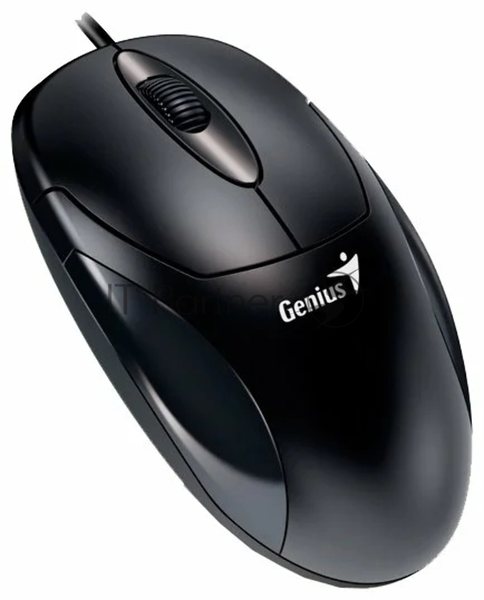 Мышь проводная Genius XScroll V3 черный, 1000 dpi, USB, кнопки - 3