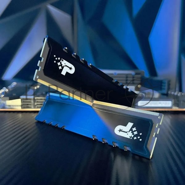 Оперативная память Patriot Signature Premium, DDR5, 32Gb (2x16 Gb), 5600 MHz, CL46, DIMM, радиатор, черный