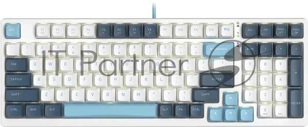 Клавиатура проводная A4Tech Fstyler FS300 (FS300 PANDA SNOWBOARDING), USB, белый/синий