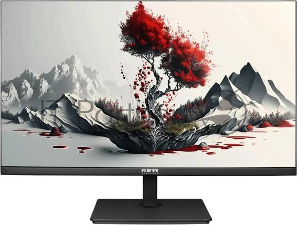 Монитор 23.8" RDW Computers RDW2401K IPS 1920x1080, 100 Гц, 4 мс, 16:9, 300 кд/м², HDMI 1.4, DP, VGA, 3.5 Jack, черный