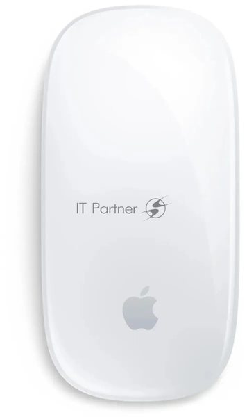 Мышь компьютерная Apple Magic Mouse White Type-C MXK53ZA/A 195949655975 A3204