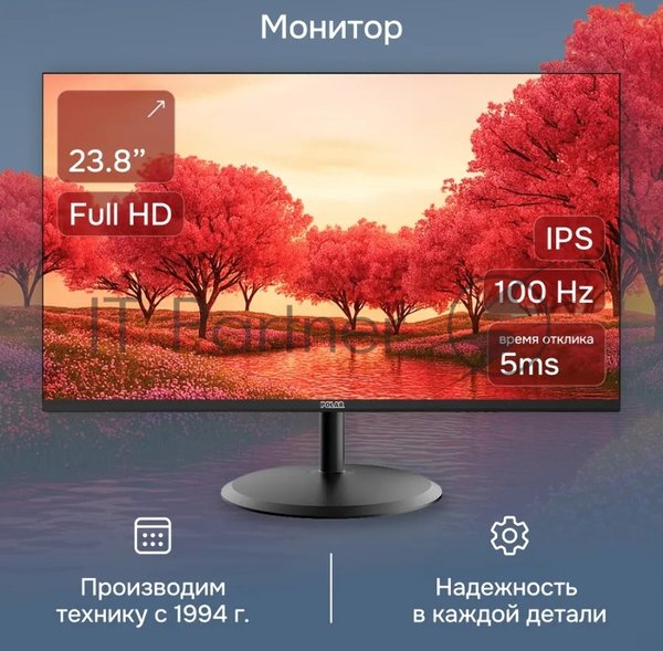 Монитор 23.8" Polar P24F11M IPS 1920x1080, 100 Гц, 5 мс, 16:9, 250 кд/м², VGA, HDMI, черный