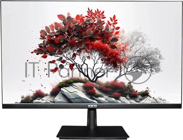 Монитор 27" RDW Computers RDW2701K IPS 1920x1080, 100 Гц, 5 мс, 16:9, 300 кд/м², VGA, HDMI 1.4, DP 1.2, регулировка наклона, VESA 100x100, черный