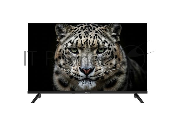 Телевизор TopDevice 32" TDWC32BH1000V черный DLED HD 60Hz