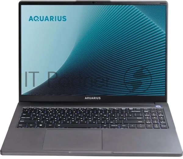 Ноутбук Aquarius Cmp NE356 Ryzen 5 6600H 16Gb SSD512Gb 16" WUXGA без ОС WiFi BT (RCNNE356153328S151SCN2TN NNNN2)