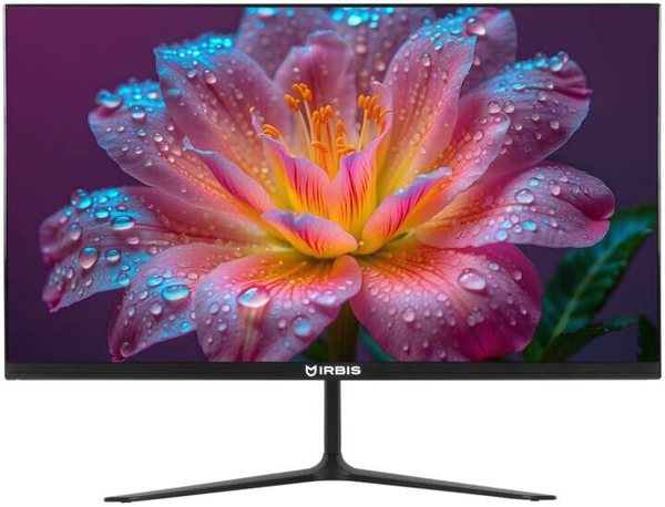 Монитор 21.5" IRBIS GroovyView 22 IGV22FID01 IPS 1920x1080, 100 Гц, 3 мс, 16:9, 250 кд/м², HDMI, DisplayPort, VGA, встроенные динамики, Flicker Free, Low Blue Light, черный