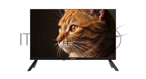 Телевизор Topdevice 24''/HD/IPS/без Smart/60 Гц/черный (TDHTV24NHD_BK)