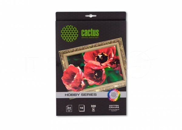 Холст Cactus CS-CA426010 A4/260г/м2/10л. для струйной печати