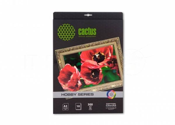 Холст Cactus CS-СA326010 A3/10л. для струйной печати