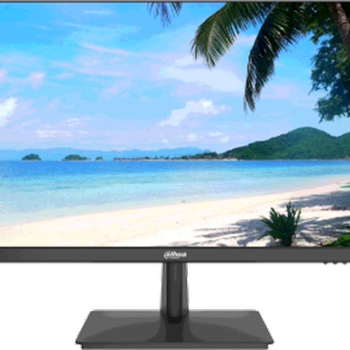 Монитор 23.8" Dahua DHI-LM24-H200 VA 1920x1080, 60 Гц, 8 мс, 16:9, 250 кд/м2, 1xVGA, черный