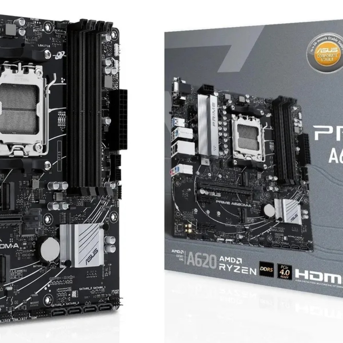 Материнская плата ASUS PRIME A620M-A-CSM, AM5, AMD A620, 2xDDR5, 4xSATA, 2xM.2, 1xPCIe 4.0 x16, 1xPCIe 3.0 x1, D-Sub, DisplayPort, HDMI, 1x 1Gb LAN, 6xUSB, 3x3.5 мм, 7.1, microATX