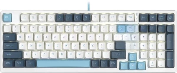 Клавиатура проводная A4Tech Fstyler FS300 (FS300 PANDA SNOWBOARDING), USB, белый/синий