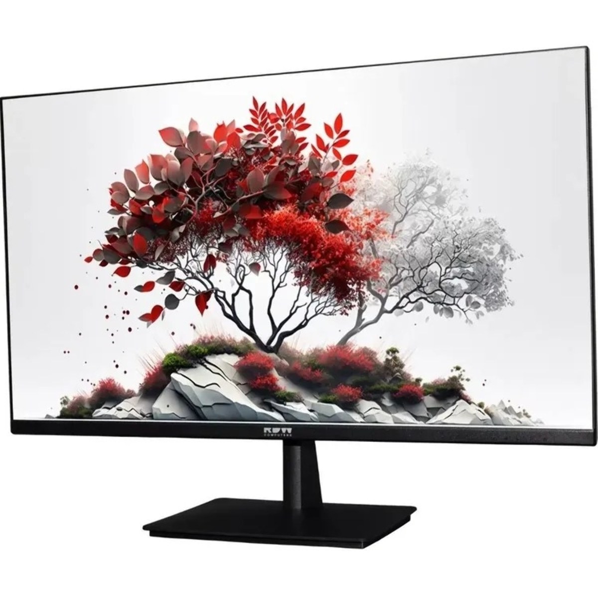 Монитор RDW Computers 23.8" RDW2401K черный IPS 4ms HDMI M/M HAS Piv 350cd 178гр/178гр 1920x1080 100Hz VGA DP FHD USB (RUS)
