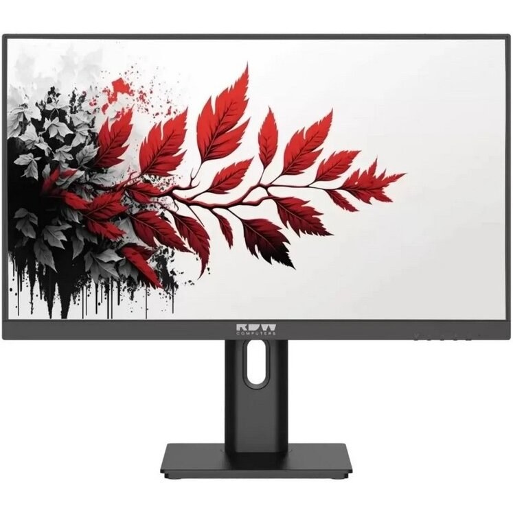Монитор RDW Computers 27" RDW2701K черный IPS 1ms HDMI M/M матовая HAS Piv 350cd 178гр/178гр 2560x1440 100Hz DP QHD (RUS)