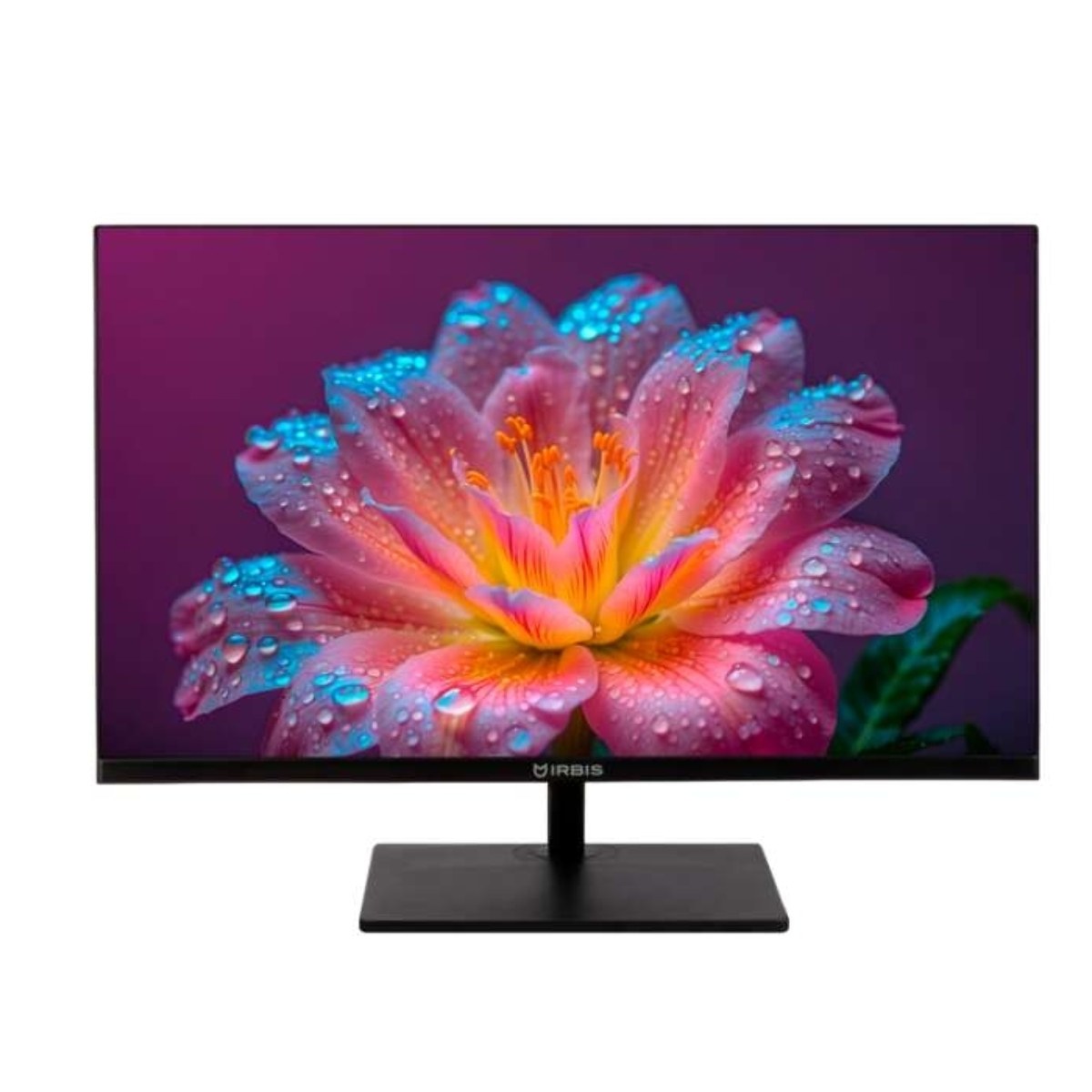 Монитор 23.8" IRBIS MIR View24 IPS 1920x1080, 100 Гц, 5 мс, 16:9, 300 кд/м², VGA, HDMI 2.0, DP 1.2, 3.5 Jack, динамики (2 Вт), HDR10, черный, в реестре Минпромторга