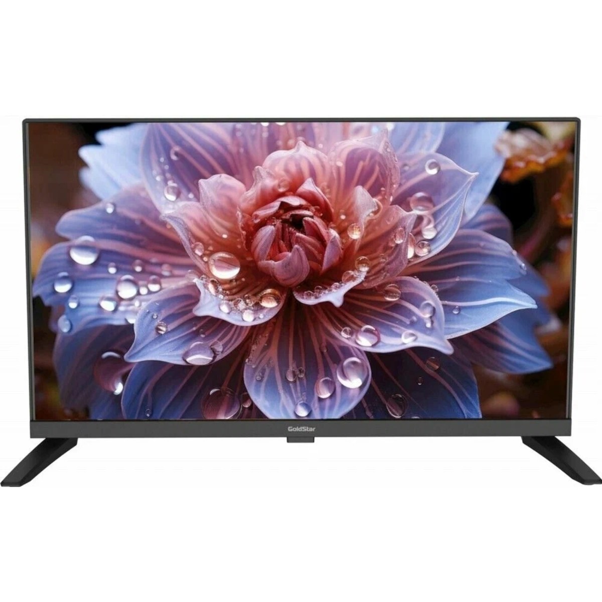 Телевизор GOLDSTAR 24" LT-24R1100 черный DLED HD 60Hz Smart TV