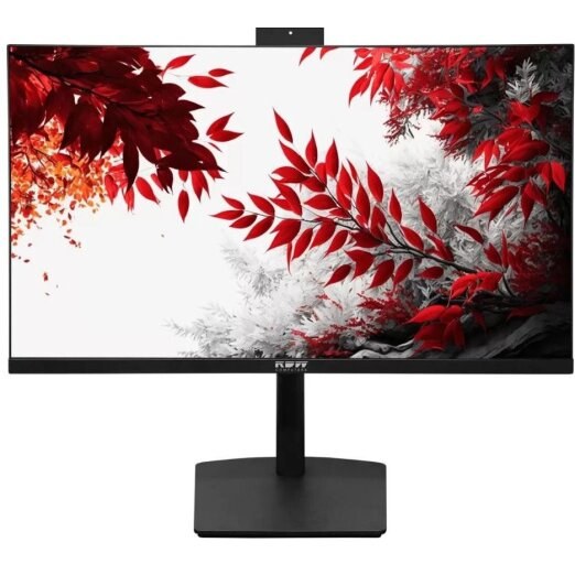 Монитор 27" RDW Computers RDW2702K черный IPS 1ms HDMI M/M Cam матовая HAS Piv 1000:1 350cd 178гр/178гр 2560x1440 100Hz DP QHD USB 1.7кг (RUS)