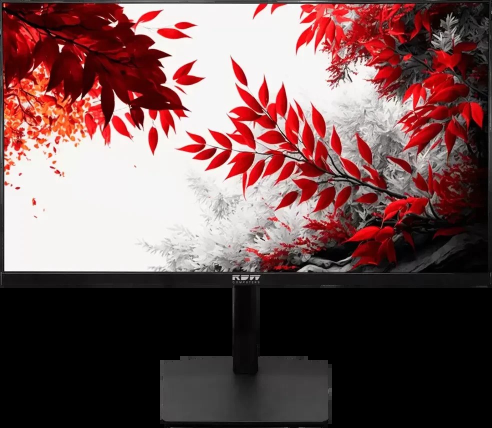 Монитор RDW Computers 31.5" RDW3207 черный IPS 1ms HDMI M/M HAS Piv 350cd 178гр/178гр 2560x1440 VGA DP QHD USB (RUS)