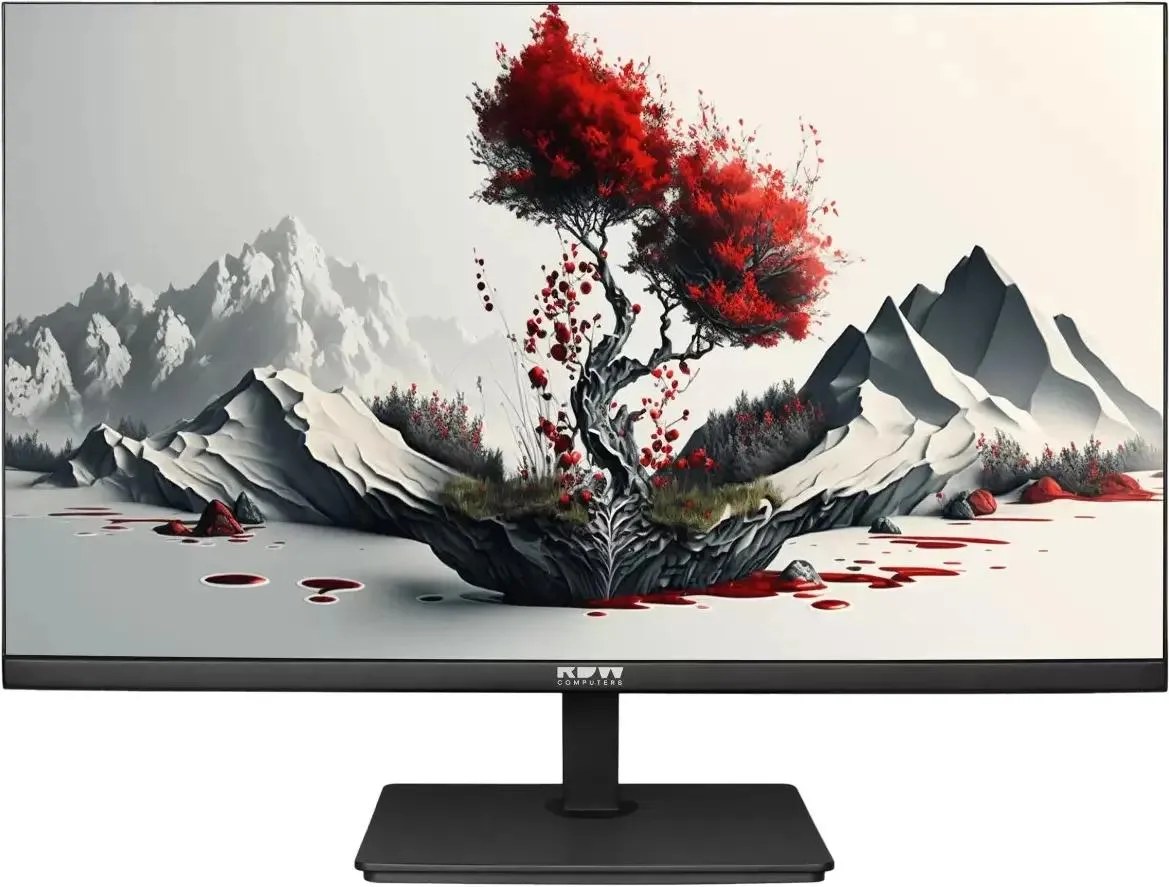 Монитор 23.8" RDW RDW2401K IPS 1920x1080, 100 Гц, 4 мс, 16:9, 300 кд/м², HDMI, DisplayPort, 2xVGA, черный