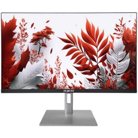 Монитор RDW2407 1920x1080(FHD) IPS 120Hz 1мс 178°/178 300cd VGA 2*HDMI 2.0 Type-C 65W