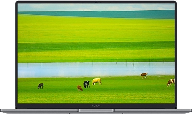 Ноутбук Honor MagicBook X14 Plus 2025 14" RPL UMA 16/512GB Intel WIN 11 Home 5301ALWC