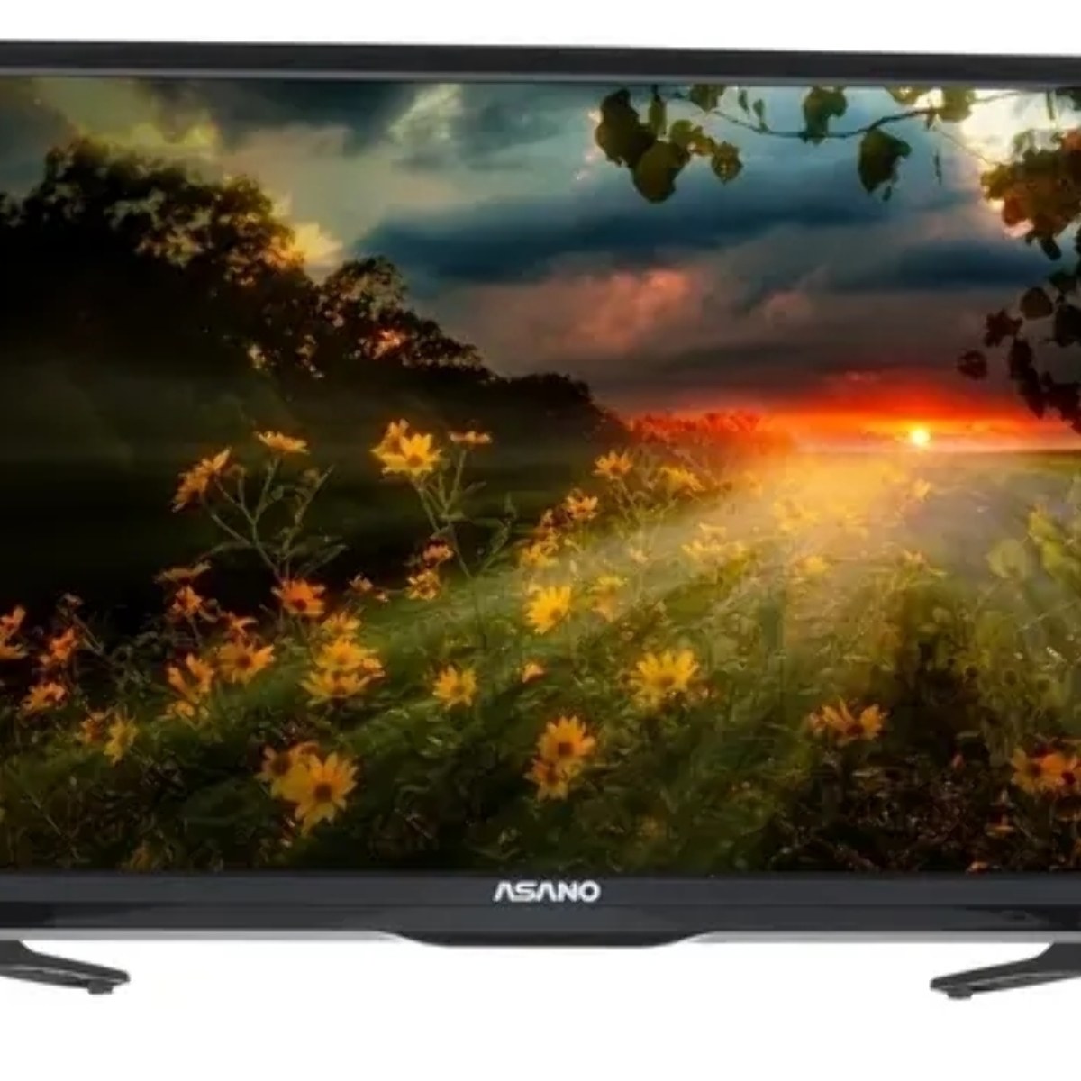 Телевизор Asano 24" 24LH1020T черный LED HD 60Hz