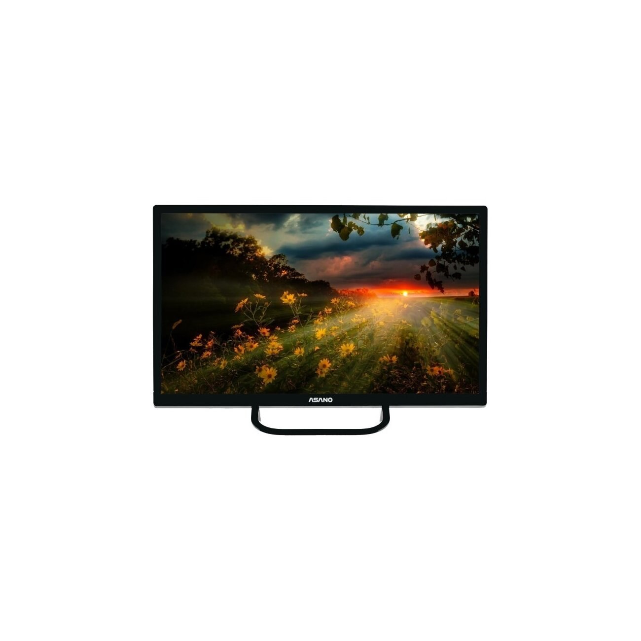 Телевизор Asano 24" 24LH1110T черный LED HD 60Hz