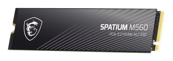 Накопитель SSD PCIE 5.0 NVME M.2 1Tb SPATIUM M560 1Tb MSI