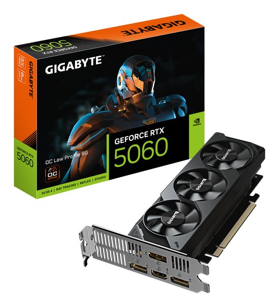 Видеокарта Gigabyte PCI-E 5.0 GV-N5060OC-8GL 1.0 NVIDIA GeForce RTX 5060 8Gb 128bit GDDR7 2512/28000 HDMIx1 DPx3 HDCP Ret low profile