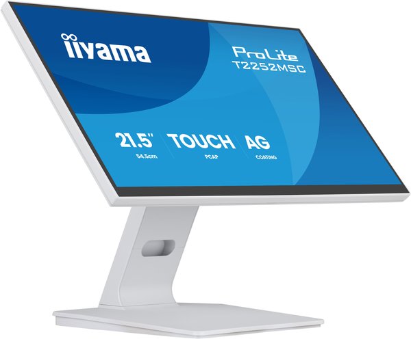 Монитор Iiyama 22" ProLite T2252MSC-W2AG белый IPS LED 5ms 16:9 HDMI M/M матовая 250cd 178гр/178гр 1920x1080 60Hz DP FHD USB Touch 4.5кг