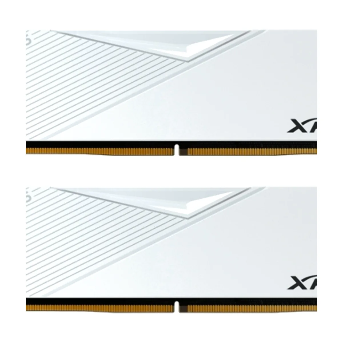 Оперативная память XPG Lancer, DDR5, 64GB (2x32GB), 6400MHz, CL32, DIMM, с радиаторами, белый
