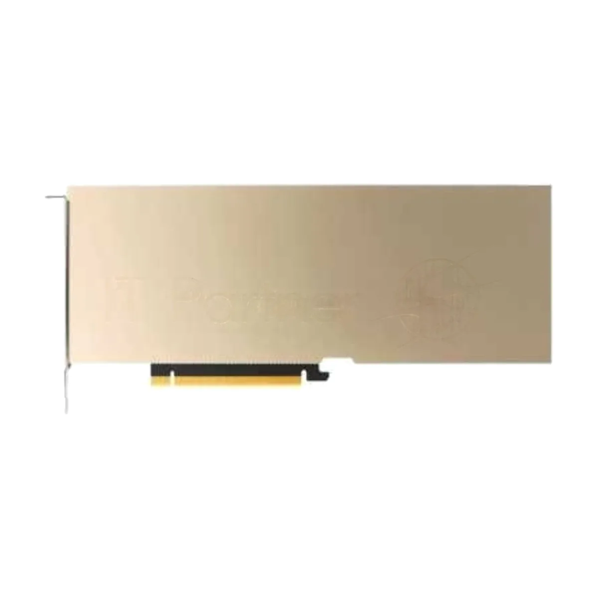 Видеокарта VGA NVIDIA RTX PRO 4500 Blackwell Server Edition, 32 GB GDDR7, PCI Express 5.0 x16, Bulk